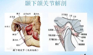 挂钩掉了怎么办 腮帮子挂钩掉了怎么办