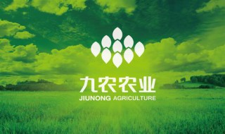 成立农业公司的条件有哪些（成立农业服务公司的条件）