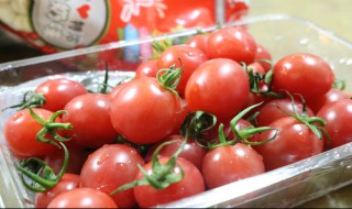 哺乳期能吃圣女果吗（哺乳期间可以吃圣女果吗）