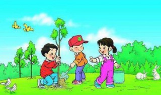 植树一般在什么地方（植树一般在什么地方种植）