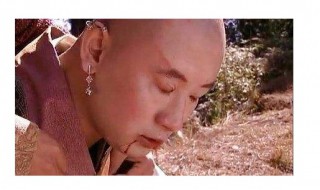 影子猪为什么变回影子 影子猪变回影子视频