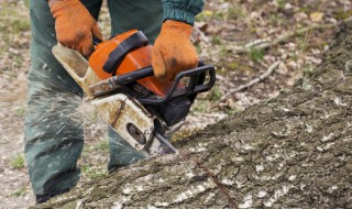 油锯冒白烟是什么原因（油锯冒白烟是什么原因造成的）