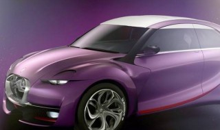 两个倒v标志是什么车（两个倒v标志是什么车新能源）