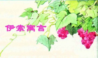 说葡萄酸的狐狸出自于哪个寓言 说葡萄酸的狐狸出自于哪个寓言集