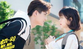 唐一白说回家找点动力是第几集（唐一白向云朵表白是在哪一集）