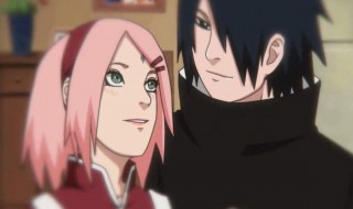 小樱给佐助看验孕棒是第几集 佐助亲小樱的是第几集