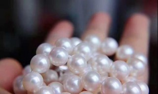 珍珠一颗多少克（珍珠一颗多少克合适）