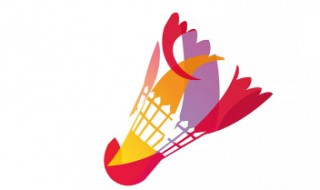 我国羽毛球协会成立于哪一年（中国羽毛球协会在哪一年正式成立）