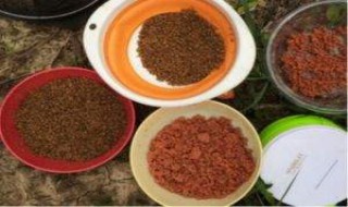 求助怎样开散饵 散炮上饵手法