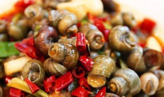 野生的田螺可不可以吃（田螺能吃吗）