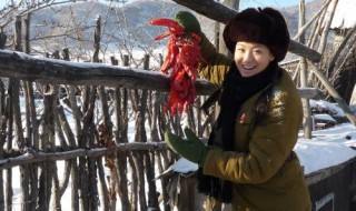 兵团岁月分集剧情 兵团岁月分集剧情介绍