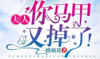 江东叶秦苒小说叫什么名字 叶秦江辞小说