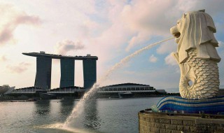 新加坡人口2019年总人数 新加坡人口2019年总人数是多少