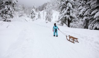 发个雪景的说说（发个雪景的说说心情）