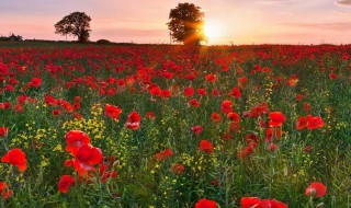 适合发朋友圈很赞的说说句子（发朋友圈必赞的说说）