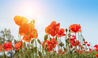 瞬间被点赞的句子（瞬间被点赞的句子说说）