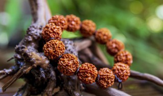 枣木把玩前处理 枣木把件怎么玩