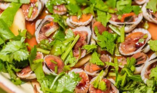 生腌雪蛤的做法大全 生腌雪蛤的做法