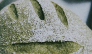 抹茶软欧包的做法窍门 抹茶奶酪欧包的做法