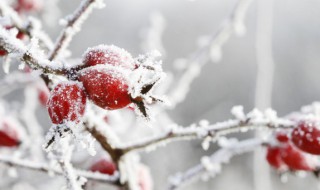 冬天的心情说说感悟生活（冬天的心情说说感悟生活的句子）