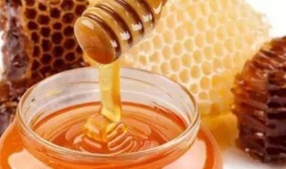 蜂蜜一年可以采几次 蜂蜜多久采一次