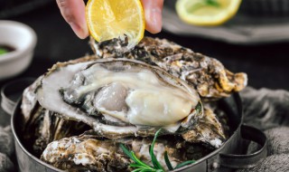 炸生蚝做法窍门视频 炸生蚝做法窍门