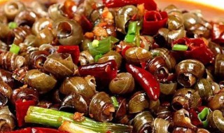 怎么炒田螺 怎么炒田螺肉
