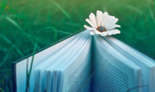 早上好美美心情说说 早上美美的心情说说