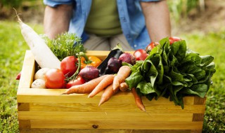 酸萝卜的朋友圈说说（酸萝卜发朋友圈说说）