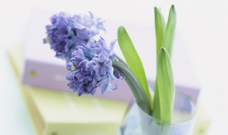 早晨美好句子简短2021 早上好短句 新版2021