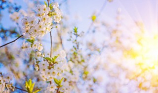 清晨一缕阳光的早安语（清晨一缕阳光的早安语,温暖）