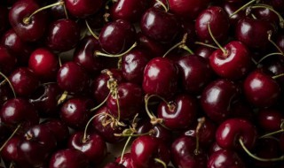 车厘子吃多了会中毒吗 车厘子吃多了会中毒吗 知乎