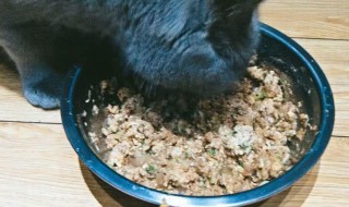 猫饭制作简单便宜 猫饭制作简单便宜又好吃