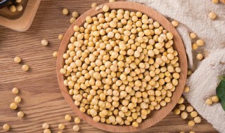 大棒骨黄豆汤如何做好吃 大棒骨黄豆汤如何做