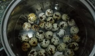 家常卤鹌鹑蛋正确方法 家常卤鹌鹑蛋正确方法图片
