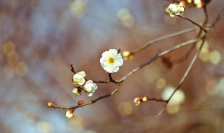 今日立春朋友圈好友问候文案（今日立秋朋友圈文案大全）