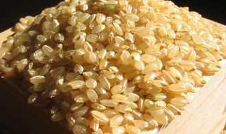 糙米的功能与食用方法 糙米功效与作用及食用