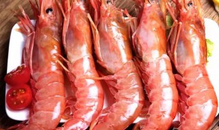 怀孕吃基围虾对胎儿好吗 孕晚期吃基围虾对胎儿好吗?