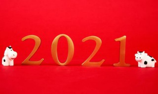 幼儿园老师告别2020迎接2021的句子 幼儿园迎接2021年的句子