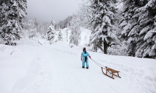 下雪孤单伤感的句子 下雪孤单伤感的句子说说