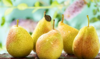 梨子怎么存放时间长（梨子怎么存放时间长一点）