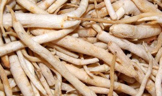 沙参怎么保存（沙参怎么保存不生虫?）