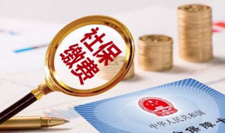 怎么申请社保卡 在手机上怎么申请社保卡