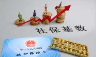 社保生育津贴怎么领取 职工社保生育津贴怎么领取