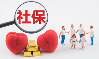 从公司离职后社保怎么继续交（从公司离职后社保怎么继续交有色金属）