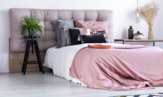 家里灰尘多怎么办（家里灰尘多怎么办需要什么植物）