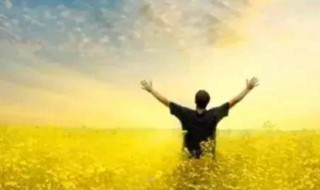 强的组词（强的组词多音字组词语）