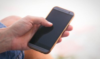 vivo手机型号怎么查(vivo手机型号怎么查外壳)