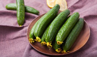 地黄瓜和黄瓜的区别是什么 地黄瓜和旱黄瓜有什么区别