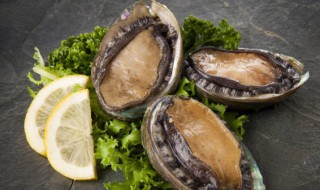 高丽参炖鲍鱼怎么做 高丽参鲍鱼汤